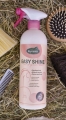 easy-shine-ravene (2).jpg
