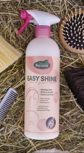 easy-shine-ravene (2).jpg