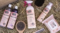easy-shine-ravene.jpg