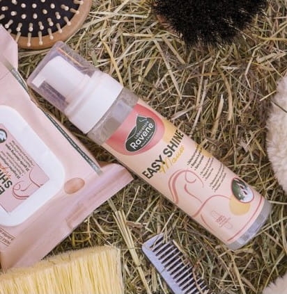 easy-shine-ravene-mouss (1).jpg