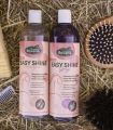easy-shine-ravene-shampoo (3).jpg