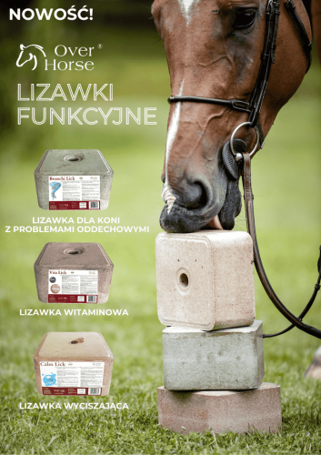 over-horse-lizawka (1).png