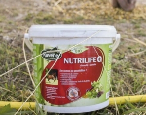Witaminy i minerały Ravene "Nutrilife +" 2,7 kg