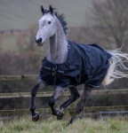 derka-padokowa-Bucas-Trot.jpg