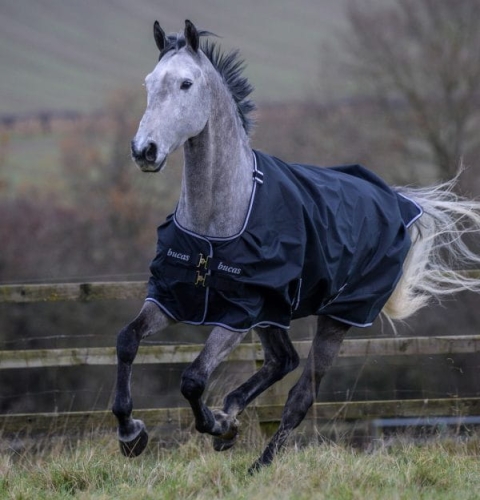 derka-padokowa-Bucas-Trot.jpg