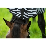derka-hm-zebra5.jpg