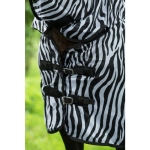 derka-hm-zebra1.jpg