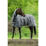 derka-hm-zebra.jpg