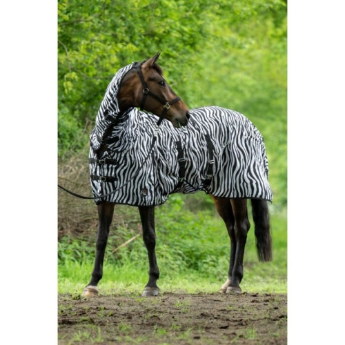 derka-hm-zebra.jpg