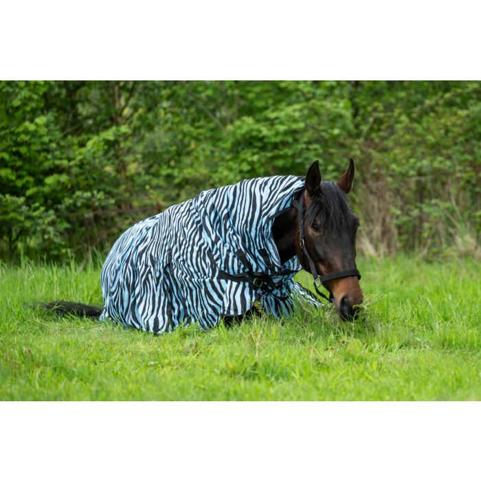 derka-siatkowa-HKM-zebra-aqua1.jpg