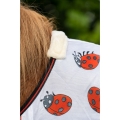 derka-siatkowa-HKM-lady-bug4.jpg