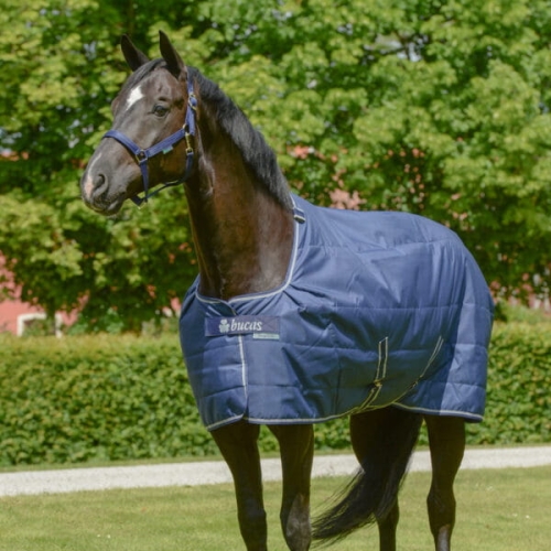 Bucas-Quilt.jpg