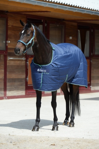 derka-stajenna-bucas-quilt.jpg