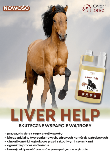 liver-help-over-horse (1).png