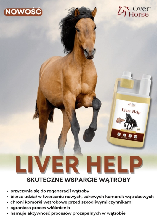 liver-help-over-horse (1).png
