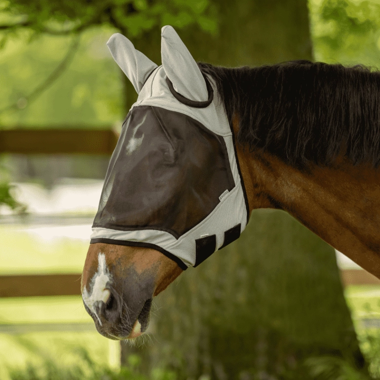 busse-fly-guard-szara (1).png