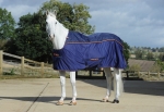 Bucas Therapy Cooler & Neck (1).jpg