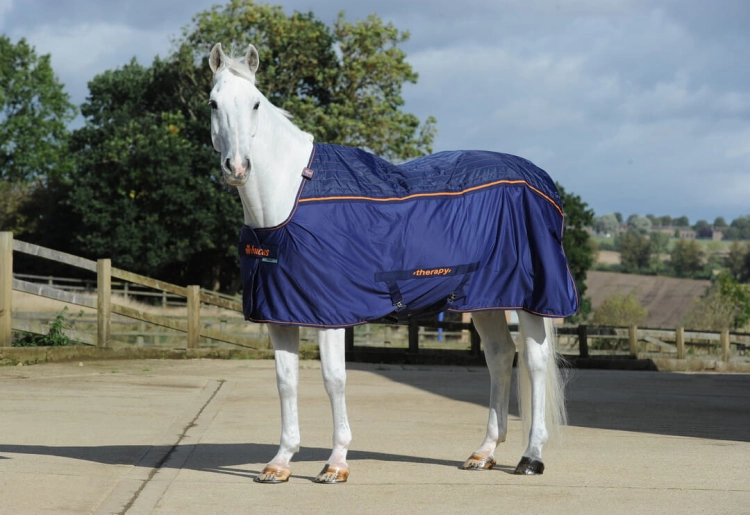 Bucas Therapy Cooler & Neck (1).jpg