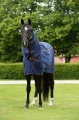 Bucas-Therapy-Cooler- Neck.jpg
