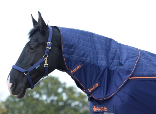 Bucas-Therapy-Cooler- Neck.jpg