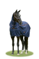 Therapy Mesh Cooler & Neck (1).png