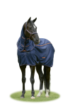 Therapy Mesh Cooler & Neck (1).png
