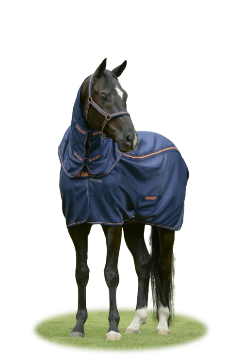 Therapy Mesh Cooler & Neck (1).png