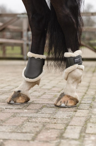 ochraniacze-anky-fetlock
