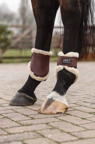 ochraniacze-anky-fetlock