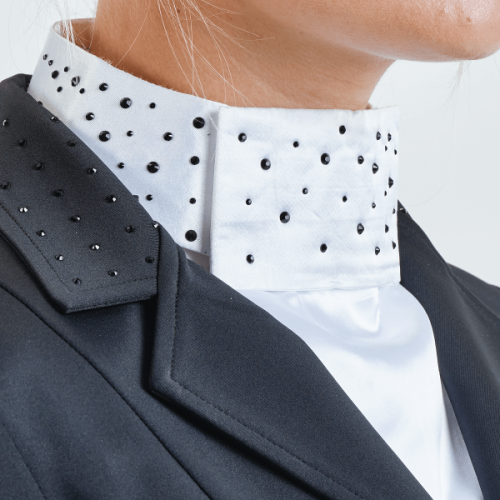 plastron-busse-emilia (1).png