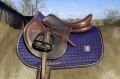 Therapy Saddle Pad Jump (1).jpg