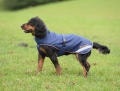 terapeutyczna-derka-dla-psa-Bucas-Therapy-Dog-Rug.jpg