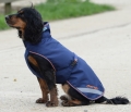 Bucas Therapy Dog Rug (2) (1).jpg