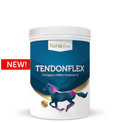 HorseLinePRO Preparat na stawy TendonFlex