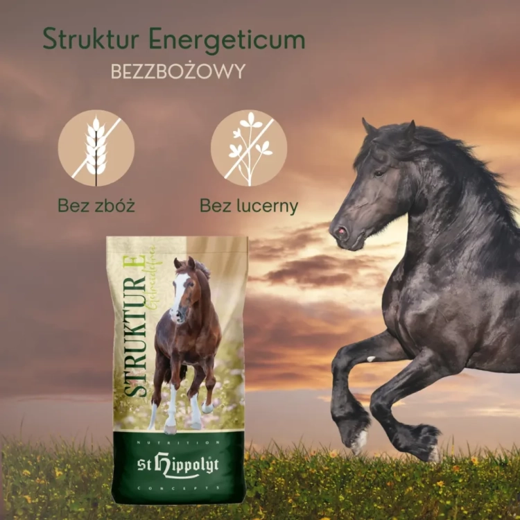 Struktur-Energetikum-1024x1024.webp