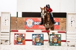 doctor-horse-kalendarz-adwentowy.jpg