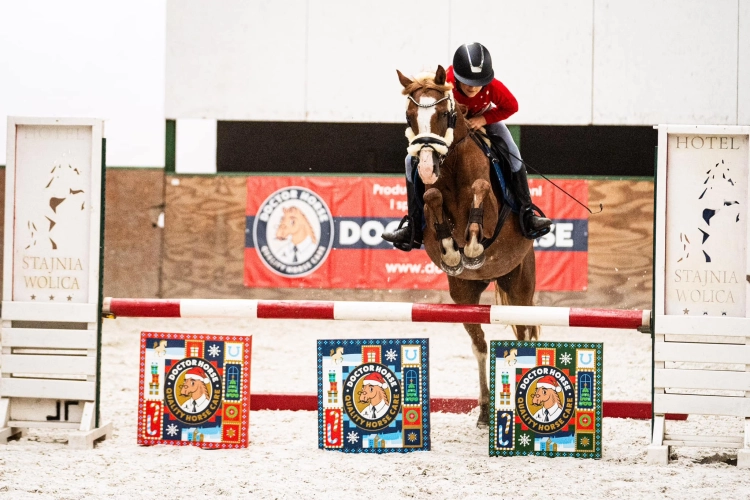 doctor-horse-kalendarz-adwentowy.jpg