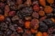 equiherbs-dzika-roza.jpg