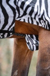 derka-egzemowa-hkm-zebra8.jpg