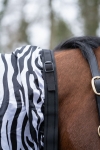 derka-egzemowa-hkm-zebra5.jpg