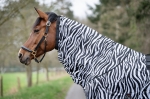 derka-egzemowa-hkm-zebra4.jpg