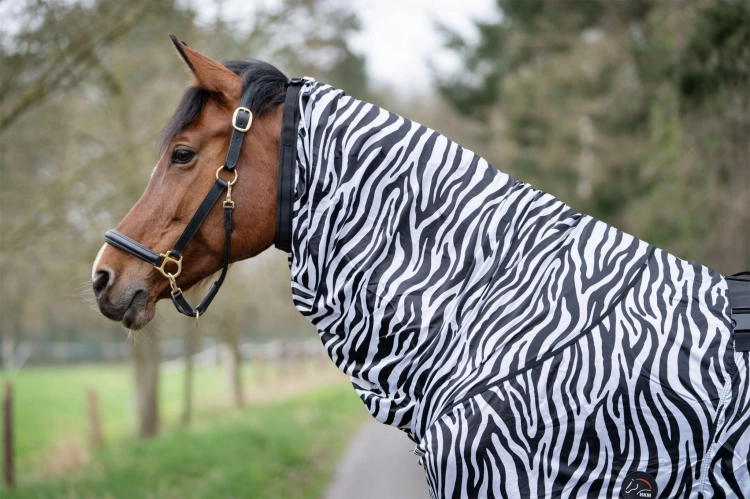 derka-egzemowa-hkm-zebra4.jpg