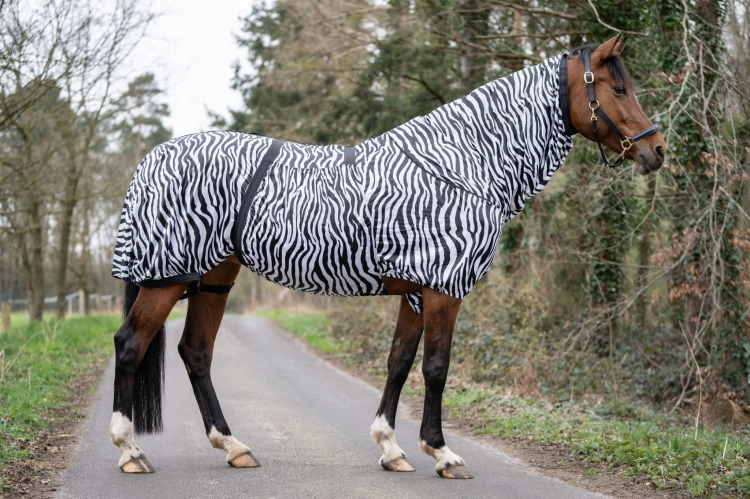 derka-egzemowa-hkm-zebra2.jpg