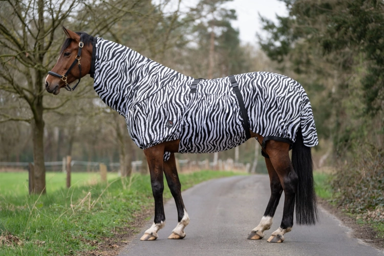 derka-egzemowa-hkm-zebra1.jpg