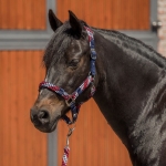 kantar-red-horse-halter-set3 (1).jpg