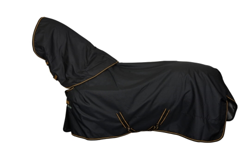 Irish Turnout & Neck.jpg