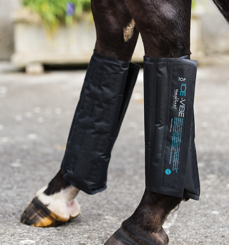 ochraniacze-chlodzace-horseware-ice-vibe.png
