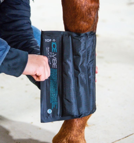 ochraniacze-chlodzace-horseware-ice-vibe2.jpg