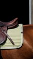 Czaprak Equi Theme Spring6.jpg