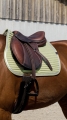 Czaprak Equi Theme Spring7.jpg